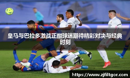 bsports官网入口
