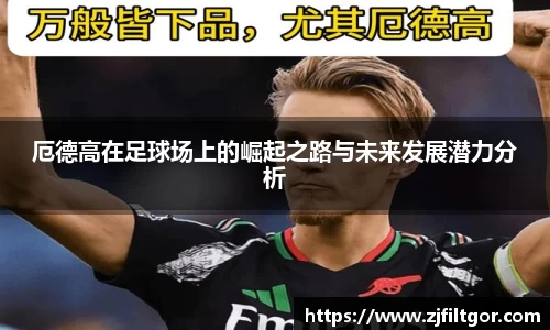 bsports官网入口