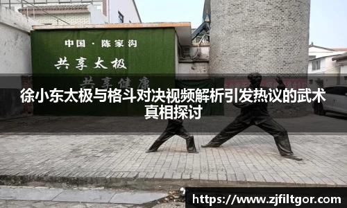 徐小东太极与格斗对决视频解析引发热议的武术真相探讨